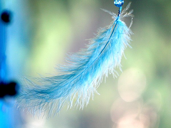 4026846058_6ab3dc7428_o